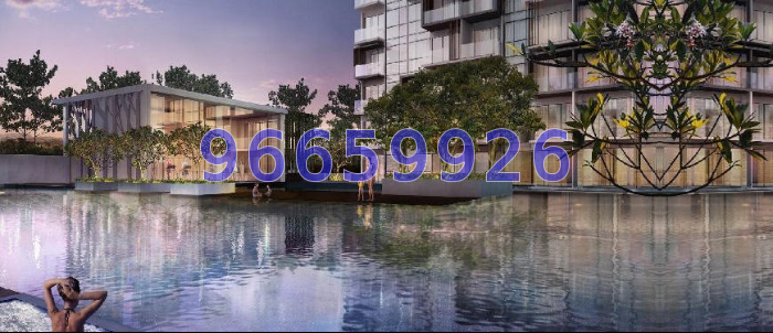 Nin Residence (D13), Apartment #12635522